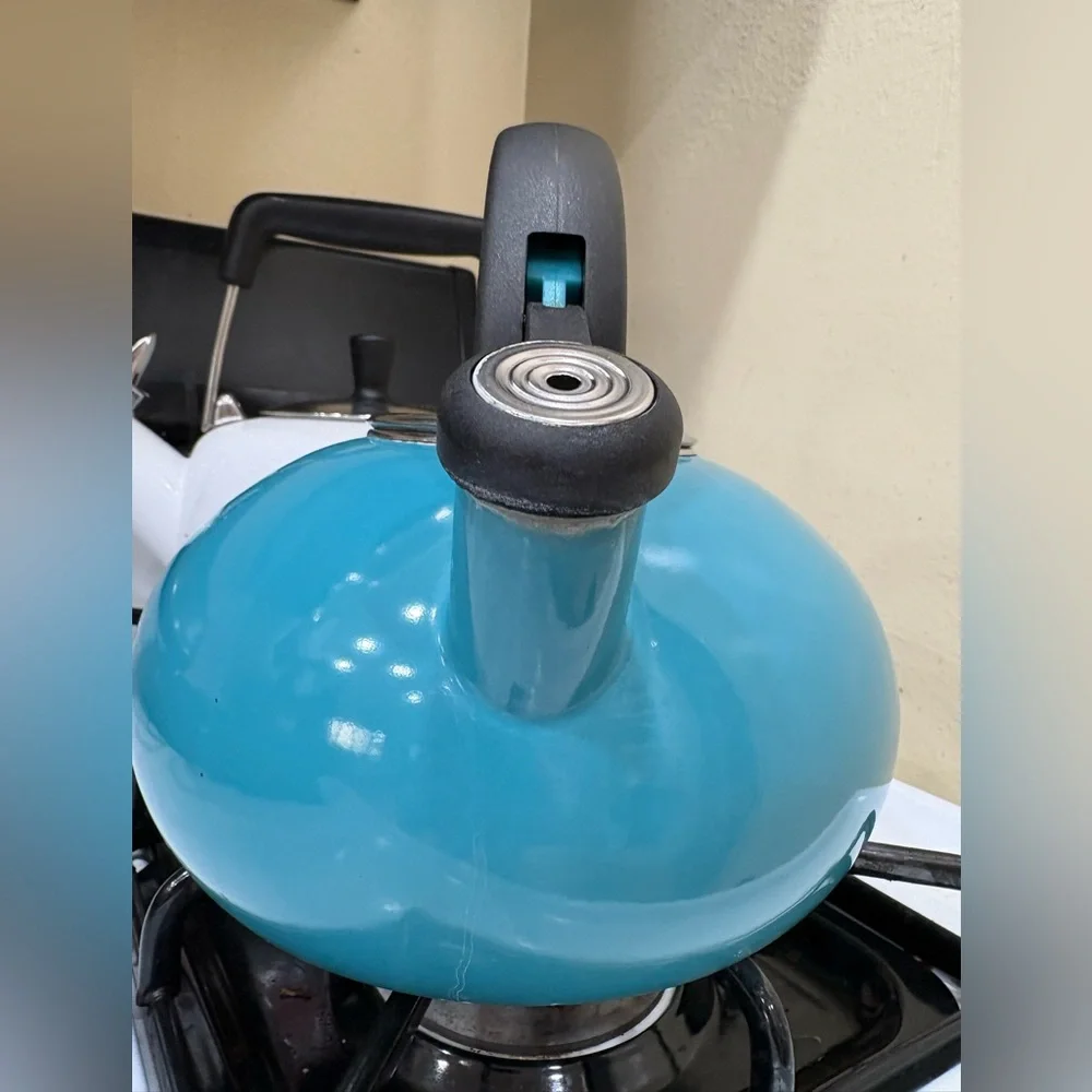 Teal Whistling Stovetop Kettle with Black Handle and Spout Cap
